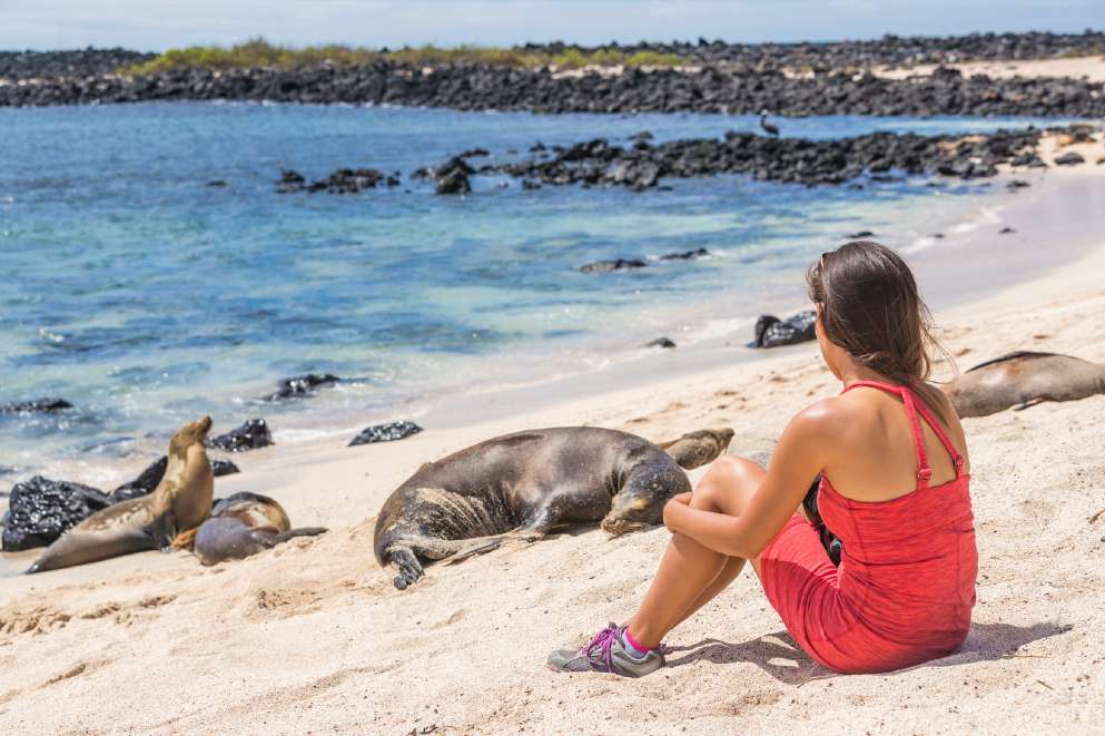 Viajera sentada junto a lobos marinos en una playa de Galápagos